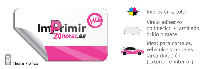  Medidas Vinilos Alta Calidad Laminado 